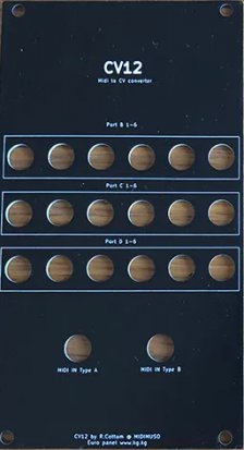 Eurorack Module MUSO CV12 from Other/unknown