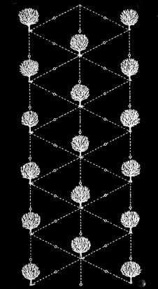 Eurorack Module Orchard Study from Isobar Industries