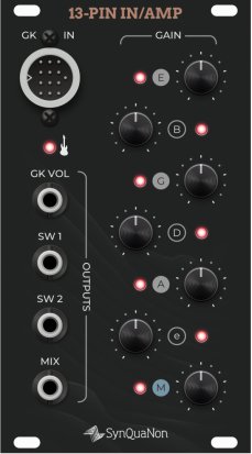 Eurorack Module SM 13-Pin In/Amp from SynQuaNon