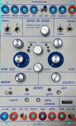 Buchla Module MORPHAGENE 4U from Other/unknown