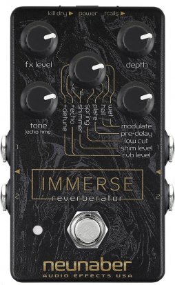 Pedals Module Immerse Reverberator from Neunaber