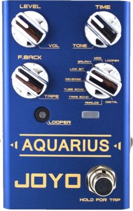 Pedals Module Aquarius from Joyo