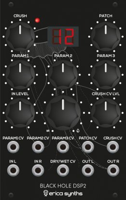 Eurorack Module Black Hole DSP2 from Erica Synths