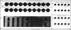 Buchla Module Model 114 Touch Controlled Voltage Source from Buchla