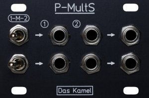 Eurorack Module P-MultS from Other/unknown