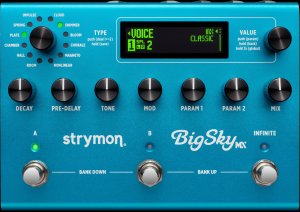 Pedals Module Big Sky MX from Strymon