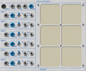 Buchla Module RENIERRA ● Tactile Gate Matrix from Other/unknown