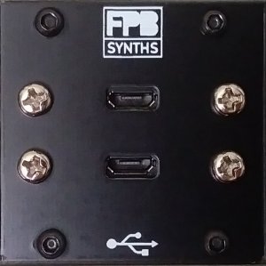 Eurorack Module 1U Dual USB from FPB