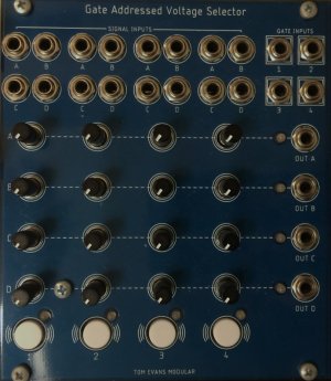 Eurorack Module GAVS from Tom Evans Modular