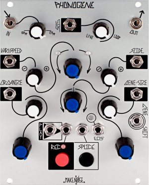 Eurorack Module Phonogene from Make Noise