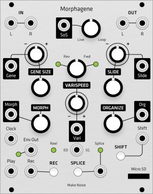 Eurorack Module Make Noise Morphagene (Grayscale panel) from Grayscale