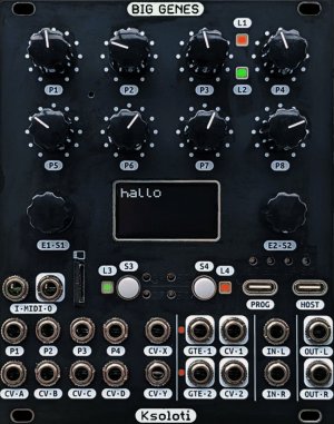 Eurorack Module Ksoloti Big Genes from Other/unknown