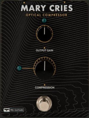 Pedals Module PRS Mary Cries from Other/unknown