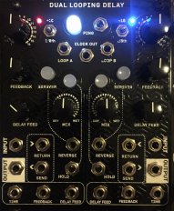 Dual Looping Delay (Magpie Modular Panel)