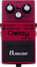 DM-2W Delay