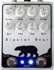 Bipolar Bear