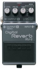 RV-2 Digital Reverb