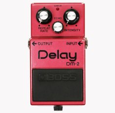 DM-2 Delay