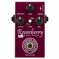 RY-1 Reverberry