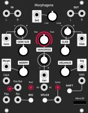 Eurorack Module Morphagene (Grayscale black panel) from Grayscale