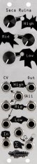 Eurorack Module Seca Ruina (Silver) from Noise Engineering