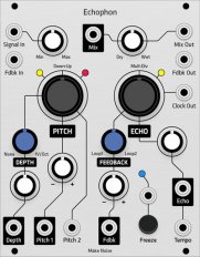 Eurorack Module Make Noise Echophon (Grayscale panel) from Grayscale