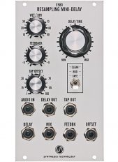 E580 Resampling Mini-Delay