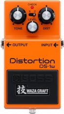 DS-1W