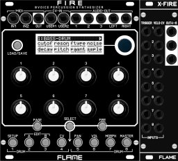 Eurorack Module FIRE  from Flame