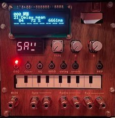 NTS-1 EuroWood (w/ Expert Sleepers display option)