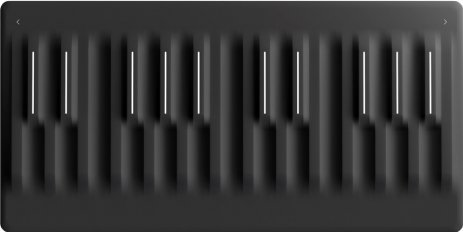 Roli Seaboard Block M